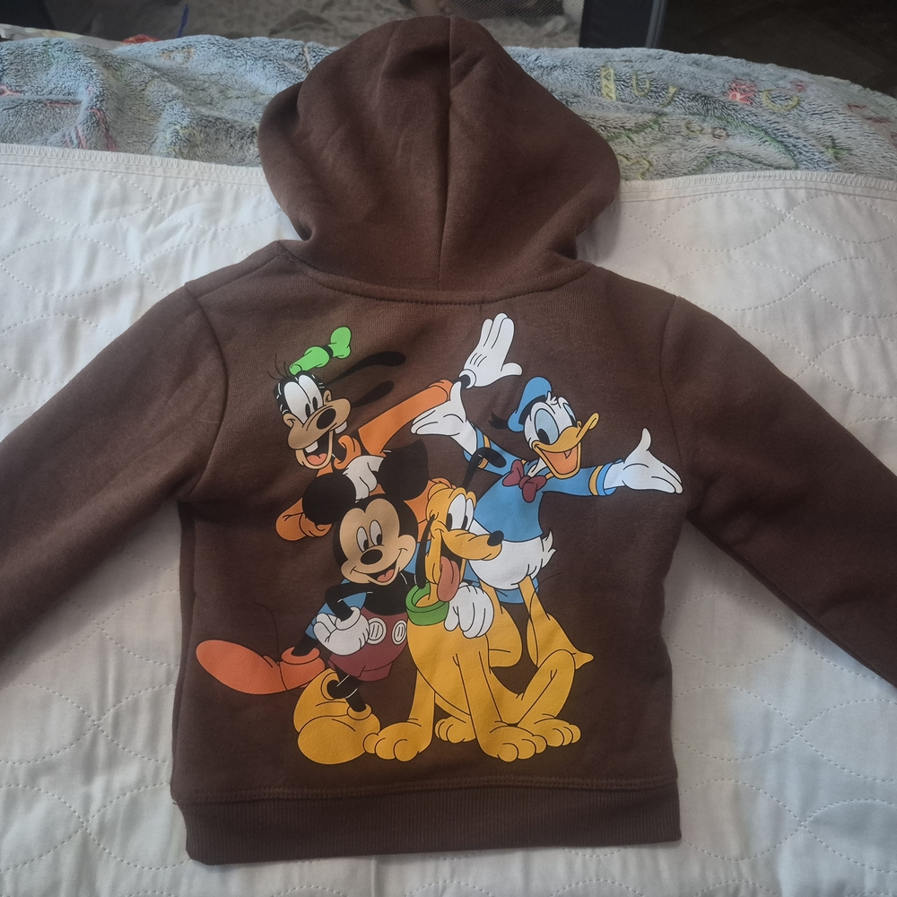 Disney Brown Hoodie with Classic Characters
